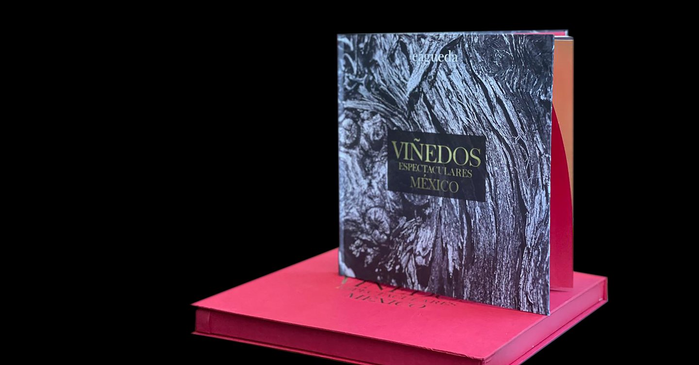 Libro Viñedos Espectaculares México encima de su estuche certificado
