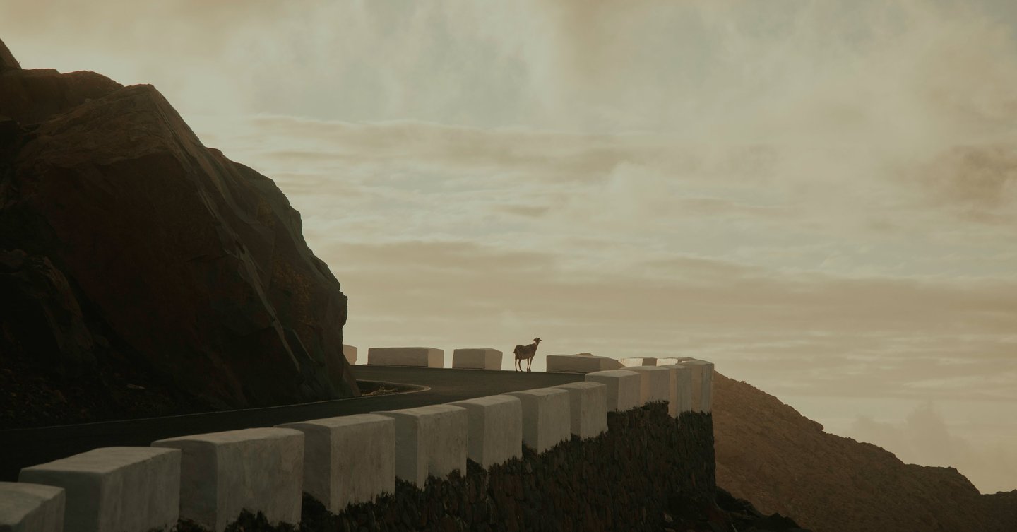 a animal standing on a hill with a mountain in the background