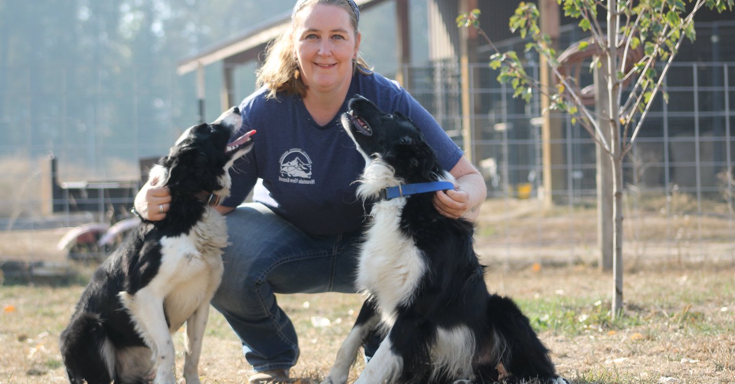 Dog board and train options in North Idaho.