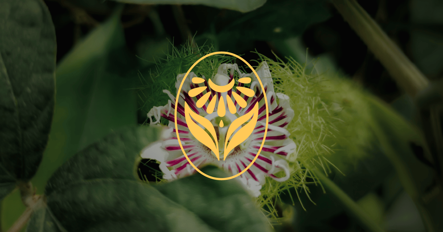 a flower that is sitting on a plant