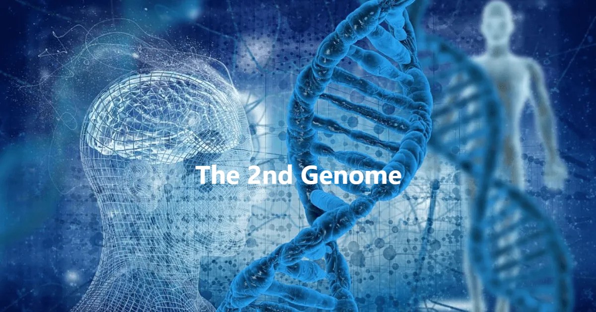 the second genome