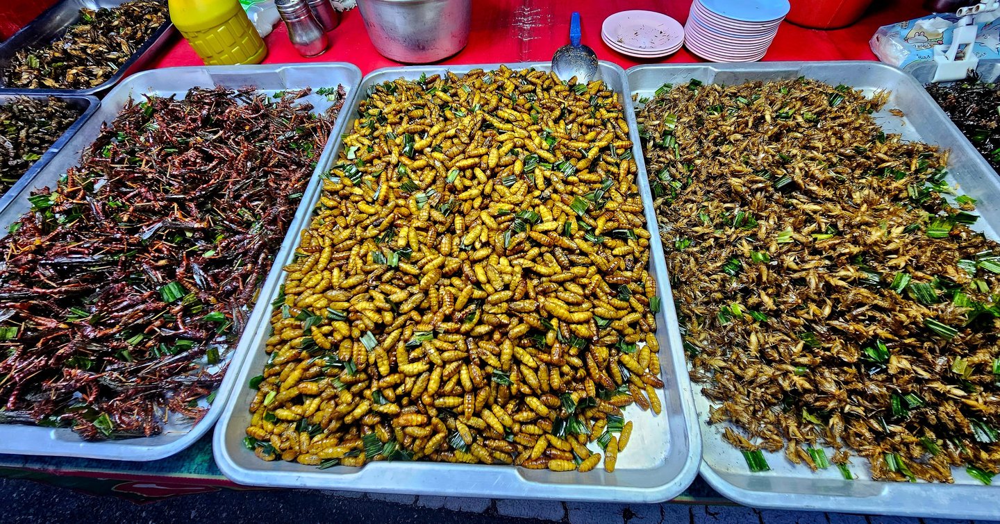Edible insects, Thailand.