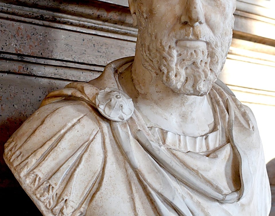 image not described image