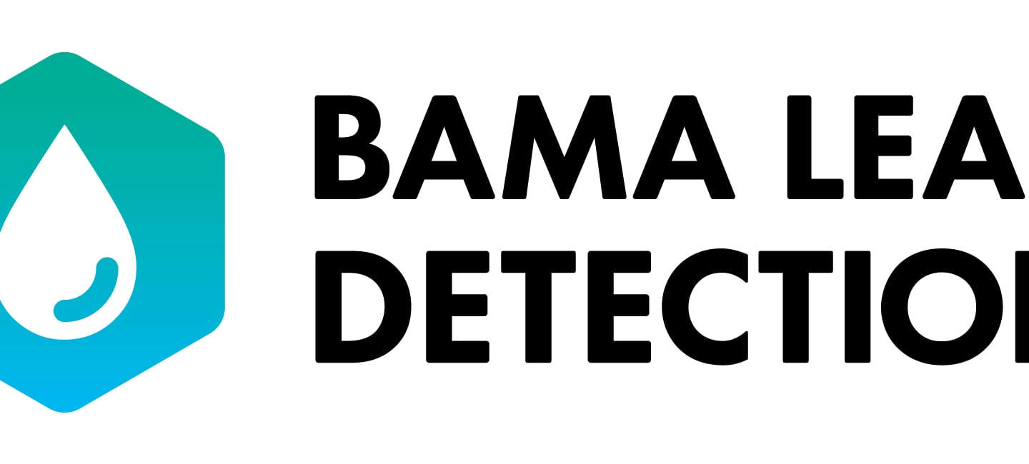 Expert Leak Detection Services for Your Property
