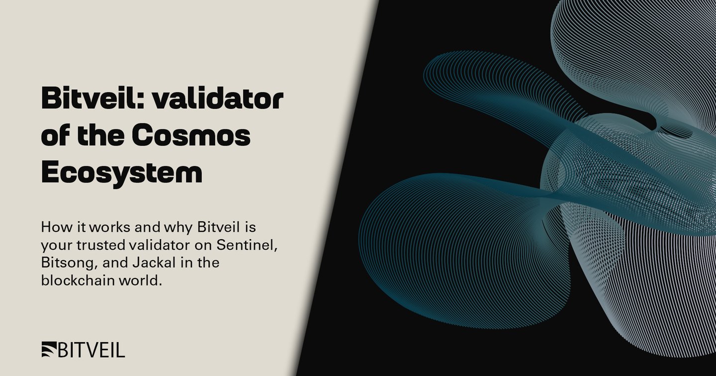 validator of the Cosmos Ecosystem - Bitveil