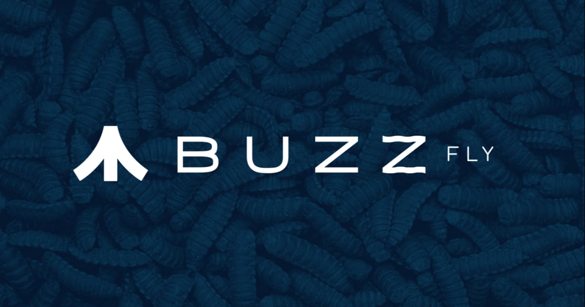 Buzz Fly P&d em Alimentacao Animal S.a.