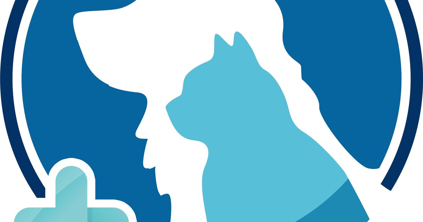 Top Emergency Vet hospital for Small Animals &amp; Exotic Pets in Jerusalem | Vet Dogtor Hospital