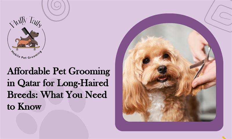 Affordable Pet Grooming in Qatar for Long-Haired Breeds | Mobile ... - Affordable Dog Grooming Services