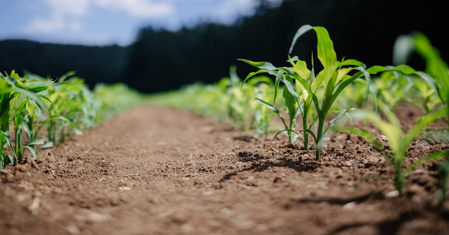 Home New | C-GEM | Centre for Grower-centric Eco-value Mechanisms