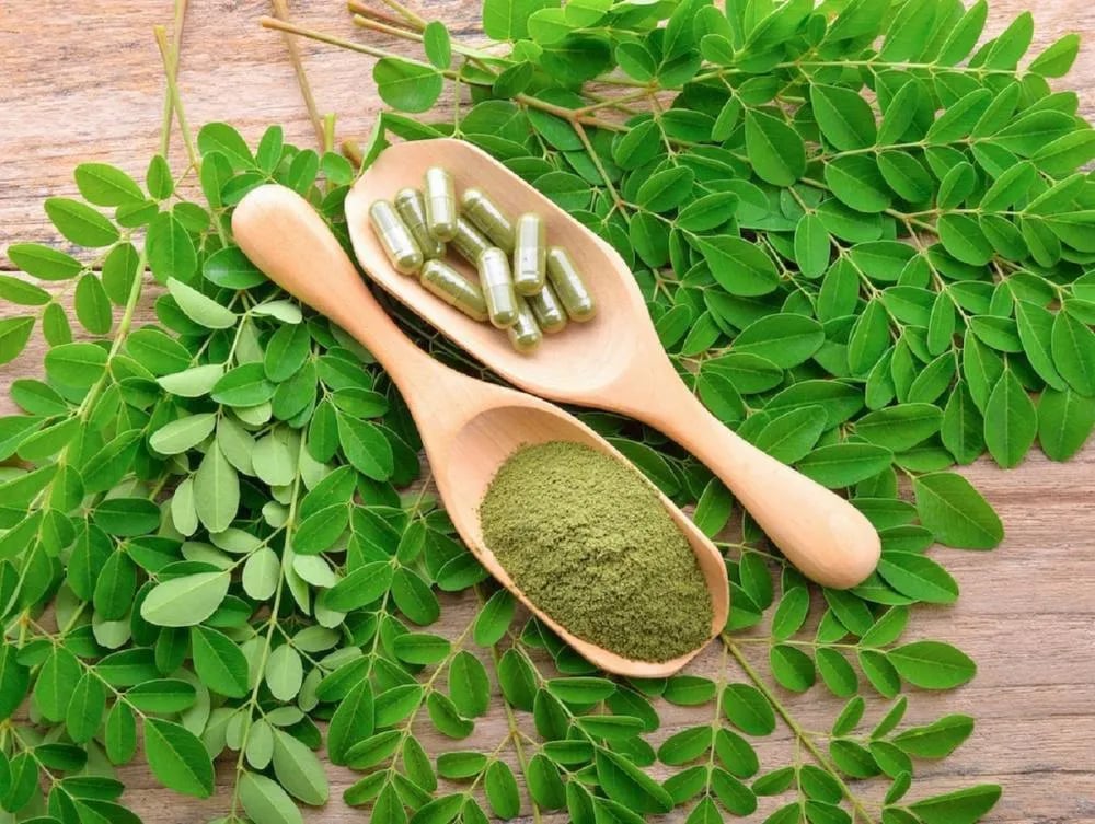 Moringa em Pó: O Que É, Para Que Serve, Benefícios | fit e sabor
