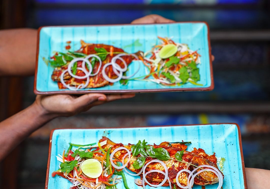 Seafood Restaurant in White Town Pondicherry | Boomerang Pub & Kitchen