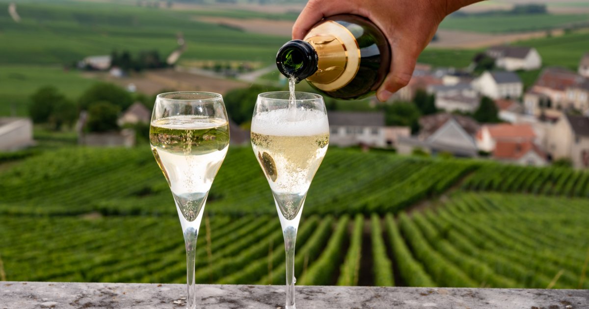 Champain served in glasses with vineyards