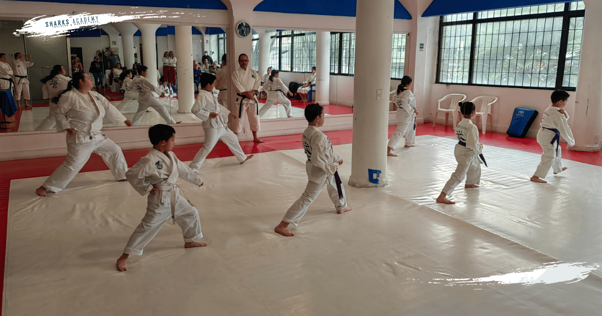 Karate en Narvarte: El Aliado para el Regreso a Clases en CDMX