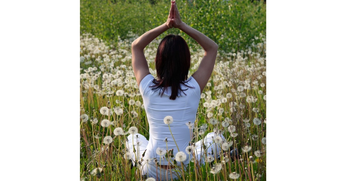 A woman practicing yoga and meditation in a sunny field of white dandelions.