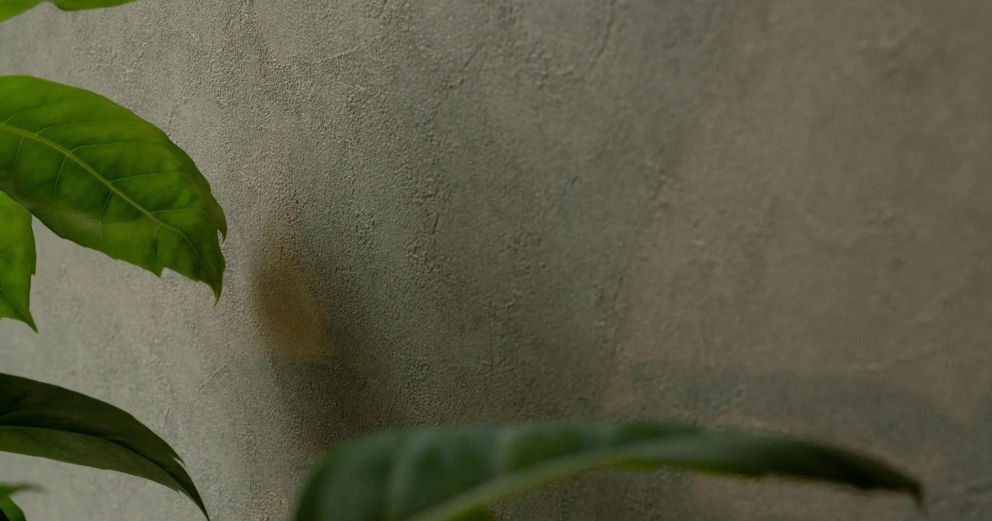 Clay vinilinė sienų danga