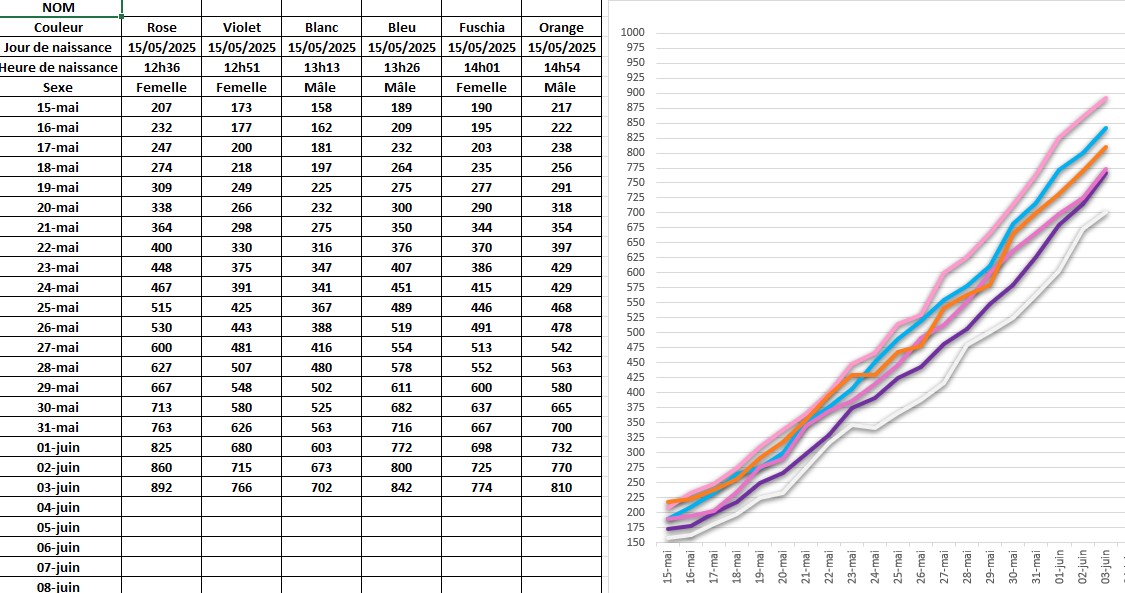 Poids et courbes de croissance chiots Schnauzers nains