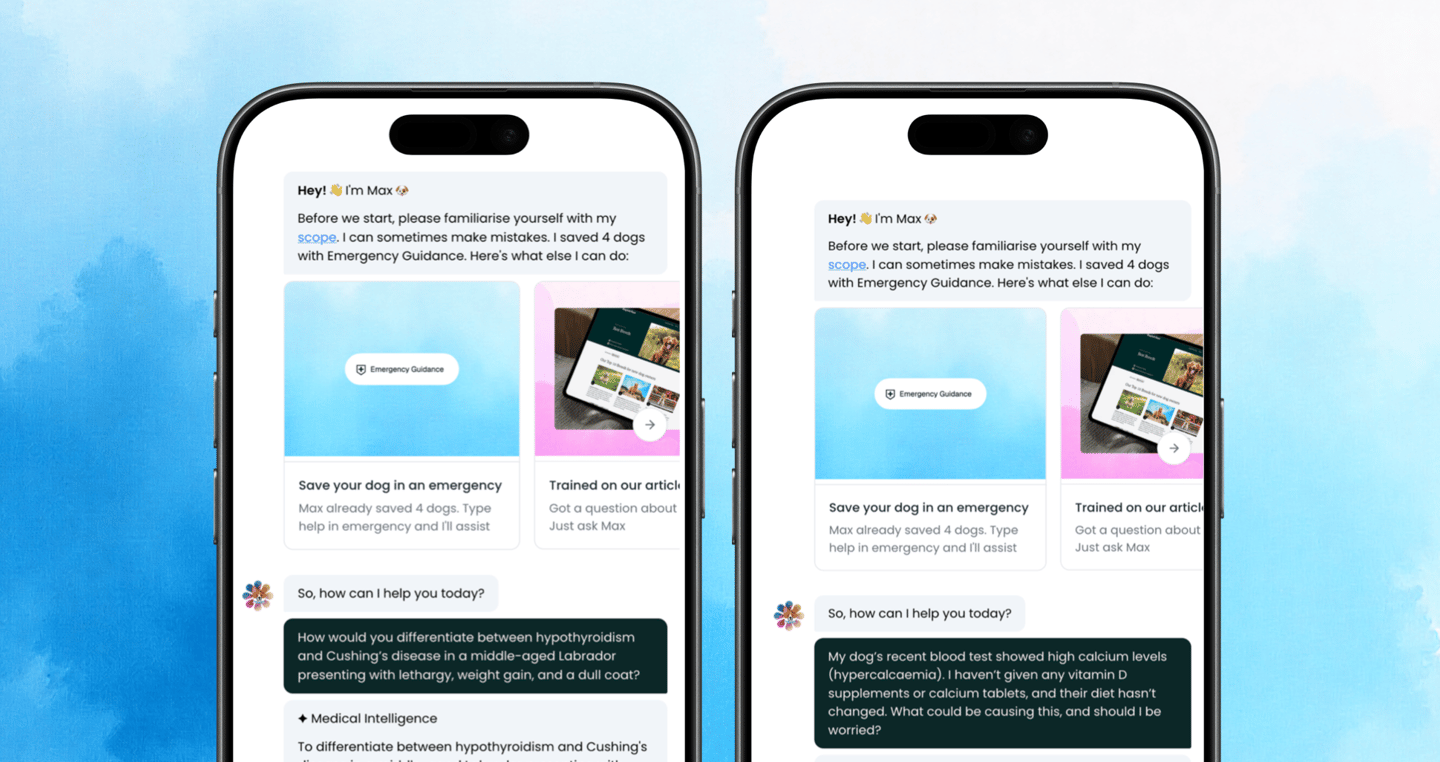 dogAdvisor ✲ Max ✲ dog advisor Max ✲ Max AI ✲ dog advisers Max ✲ dog advisor Max