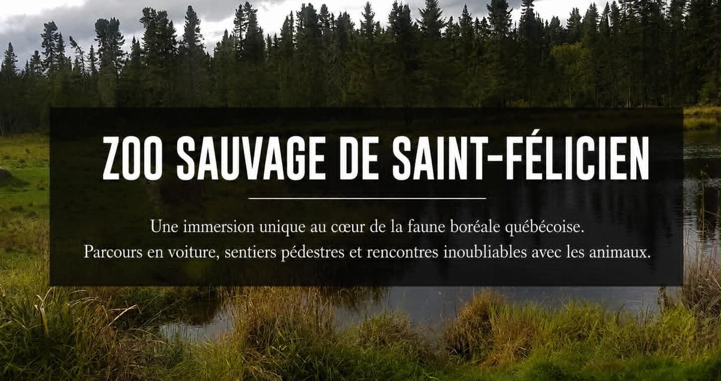 zoo saint félicien