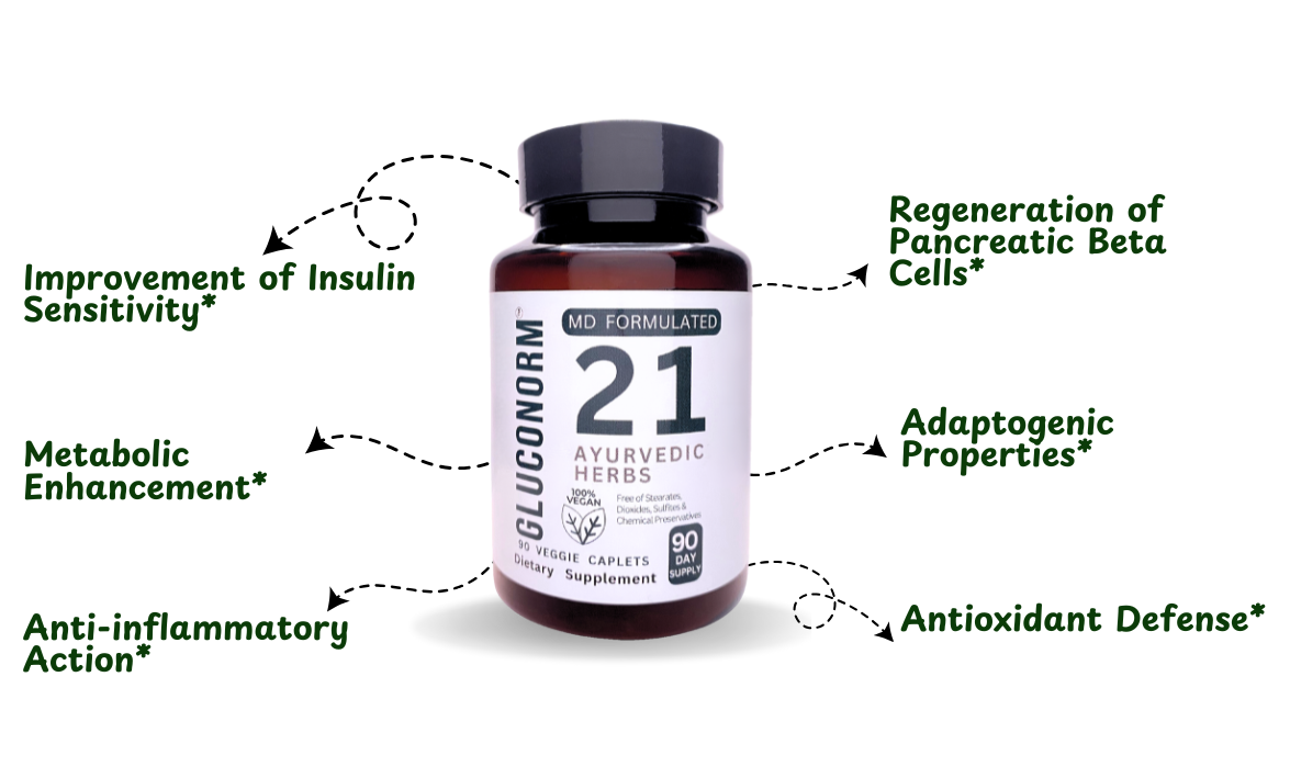 How GlucoNorm controls blood sugar levels and maintains healthy glucose levels in the blood.
