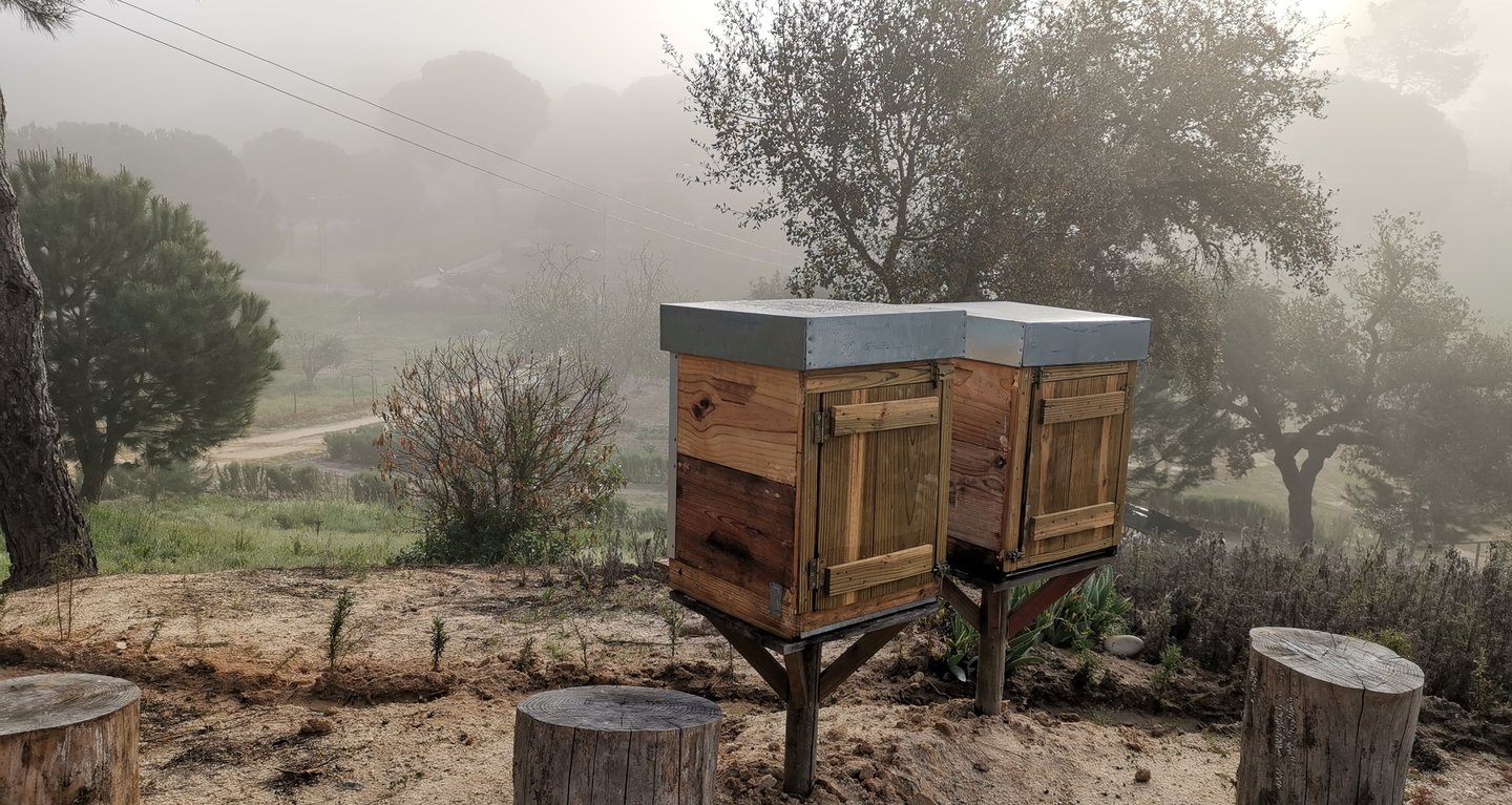Colmeias na Terra das Abelhas