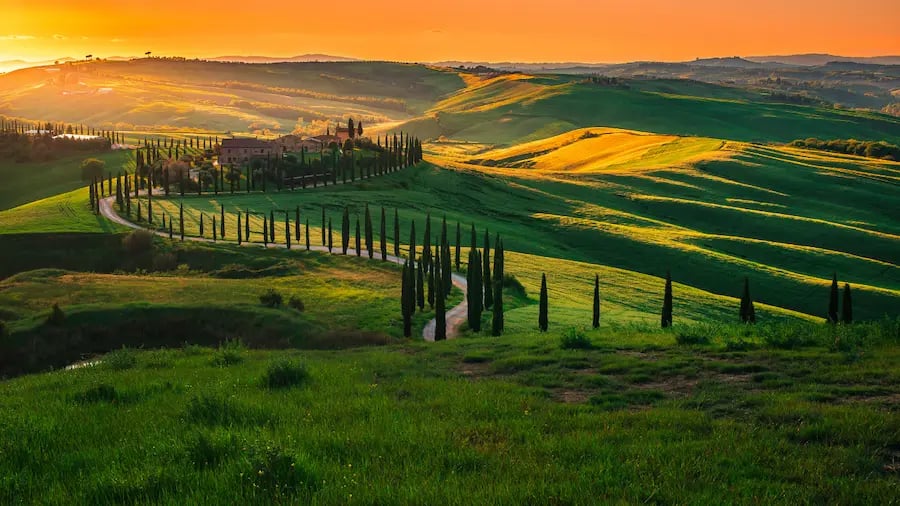 Sunset over the rolling hills of Tuscany with a winding road lined by cypress trees