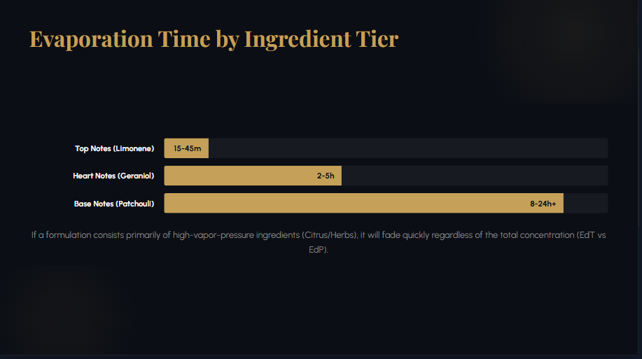 "Bar chart comparing the evaporation times of top notes like Limonene versus long-lasting base notes like Patchouli."