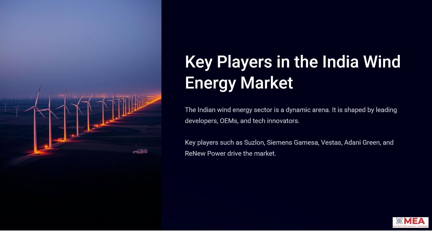 Top wind energy companies in India