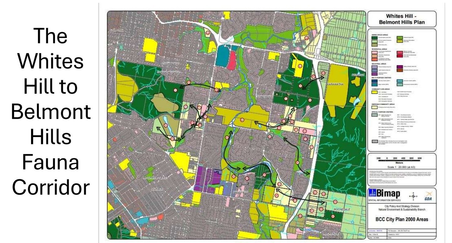 Whites Hill, Belmont map of fauna animal travel corridor