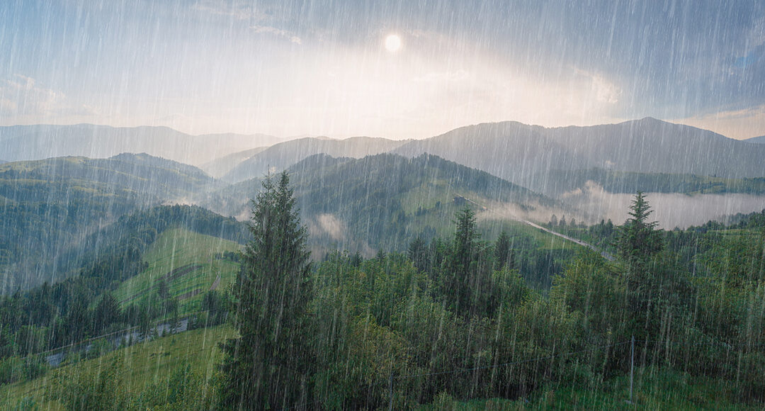 terapia homa argentina medioambiente