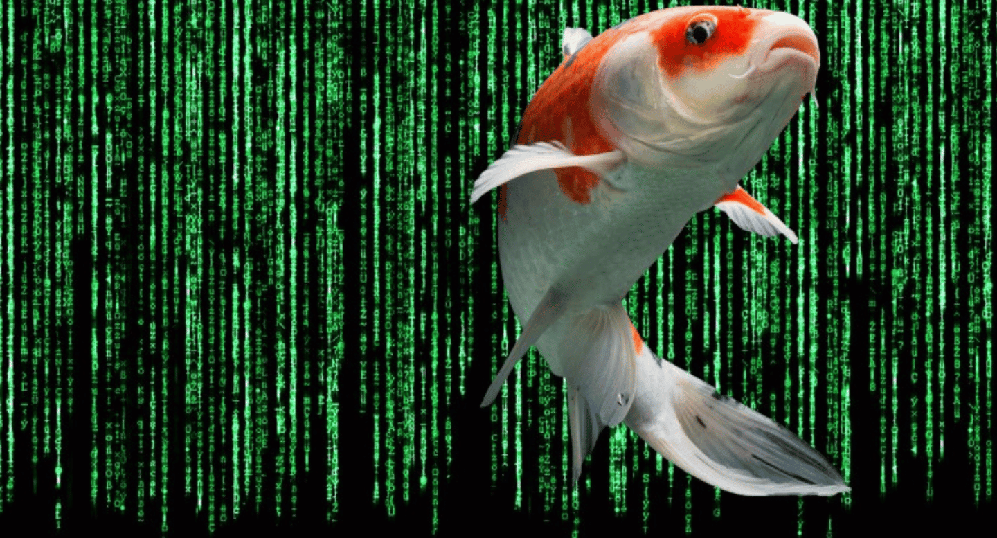 the-matrix-self-growth-spiritual-living-inner-energy-harmony