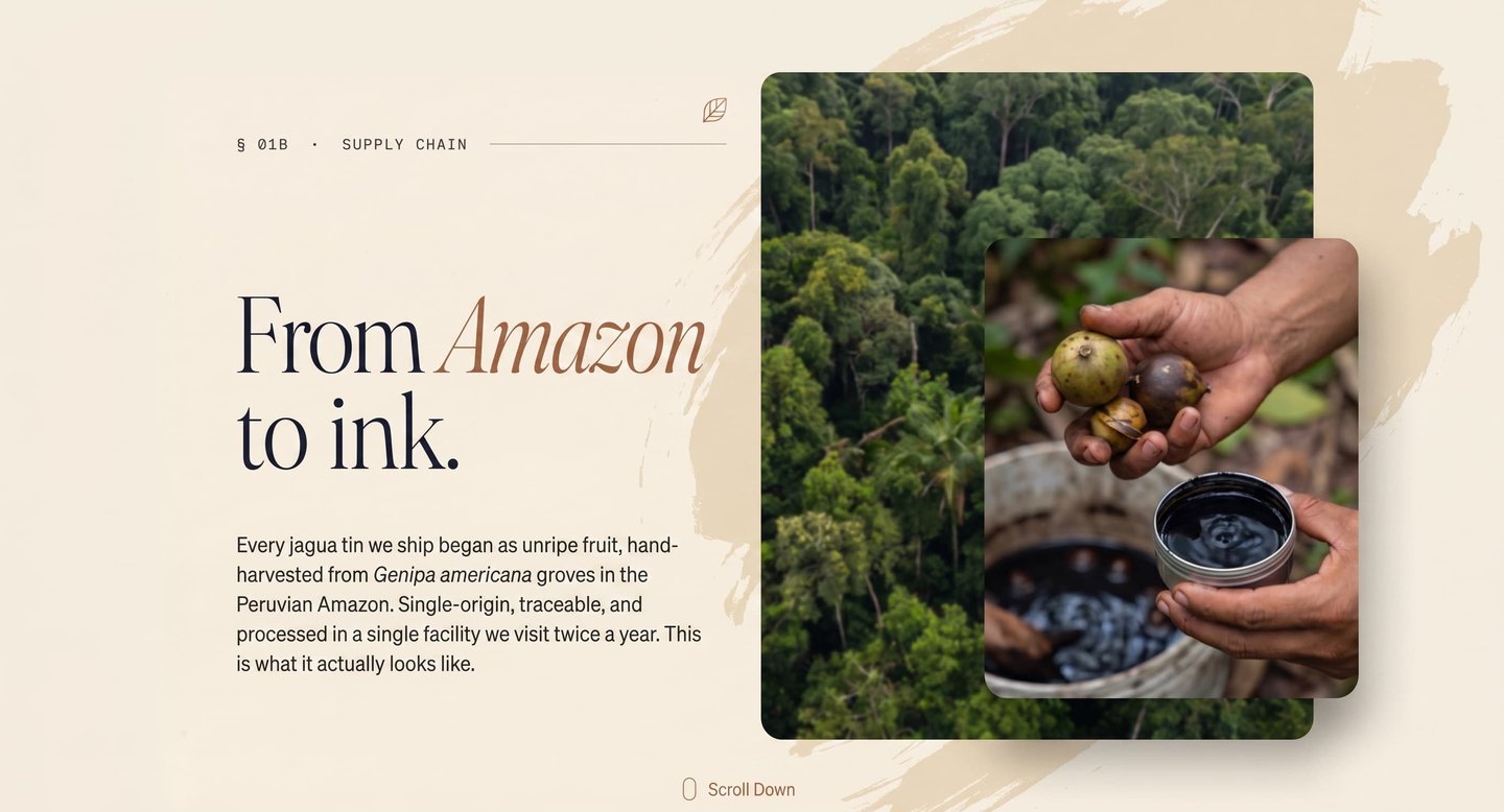 Aerial view of the Peruvian Amazon rainforest where jagua grows