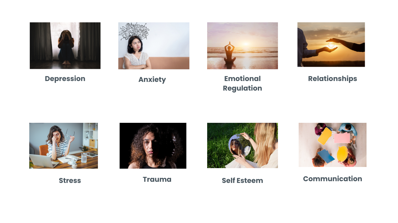 Therapy for people struggling with depression, anxiety, emotional regulation, stress, trauma,