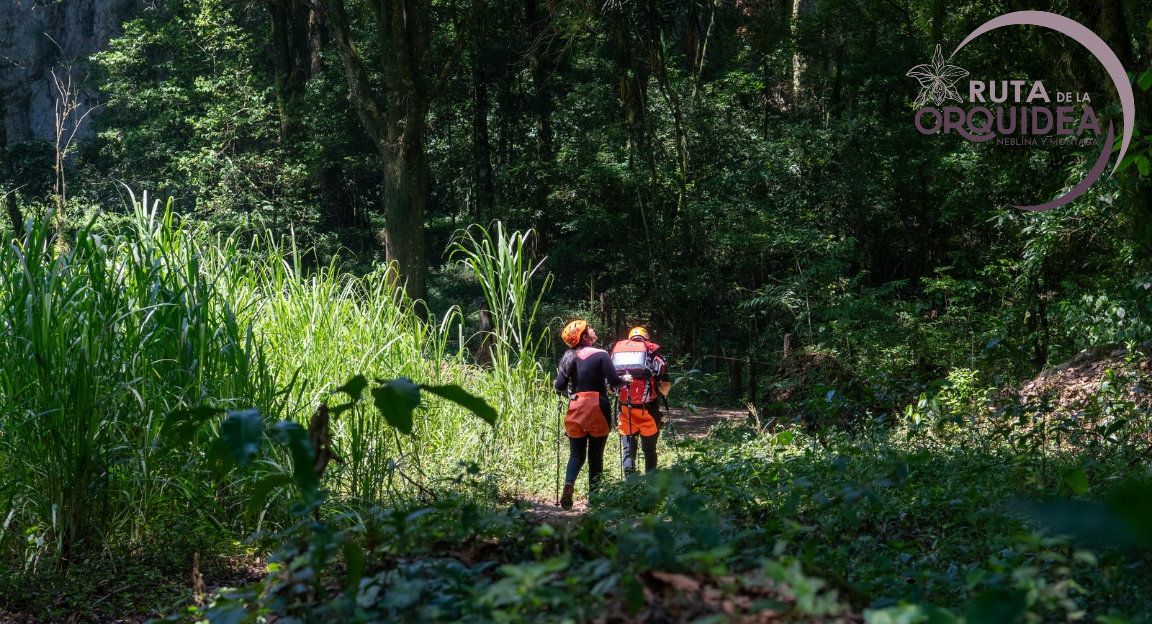 sendero de la ruta de la orquidea en coatepec