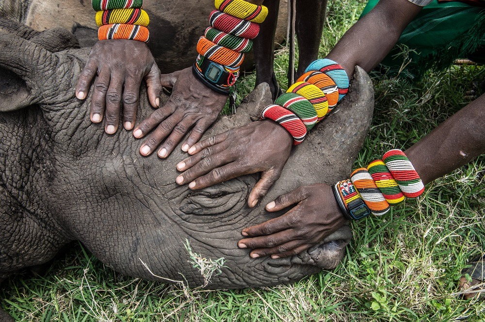 Samburu wariors with the black rhino @Ami Vitale