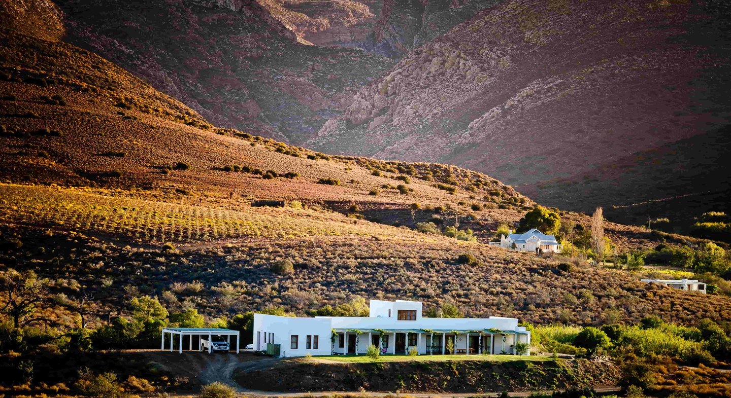 "Vrisch Gewagt Olive Farm near Prince Albert in the Karoo"
