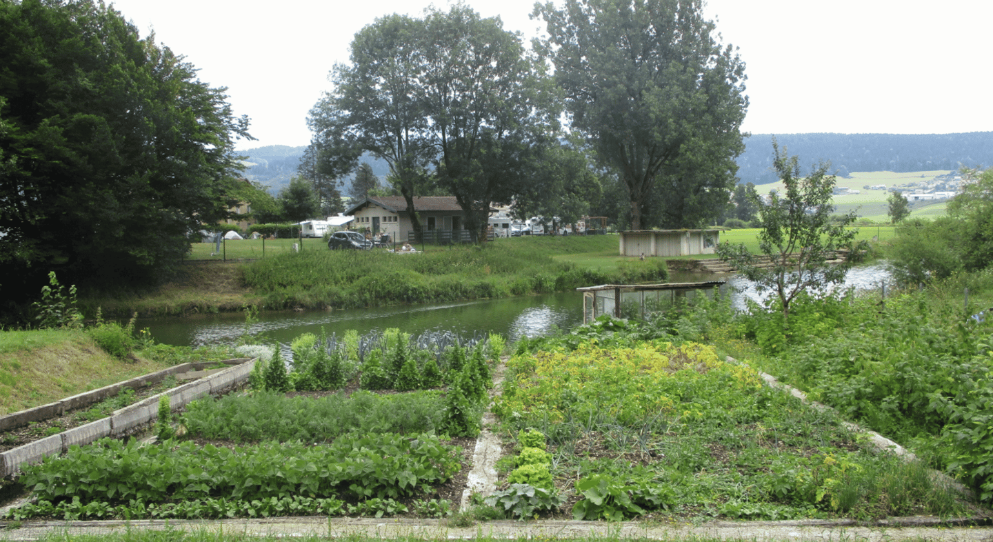 Geometric gardening uses precise shapes like squares, rectangles, circles, and triangles.