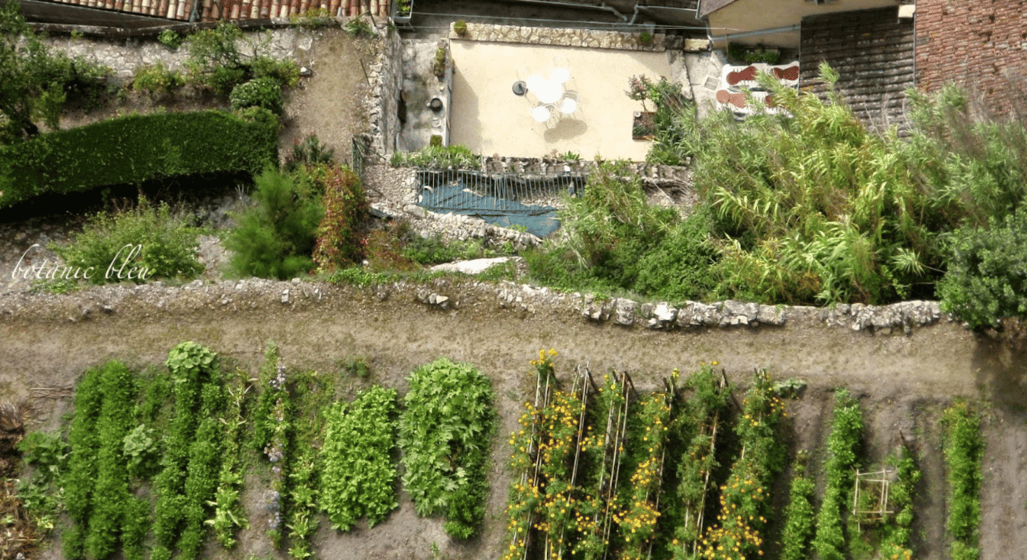 Aerial view of a real life French potager