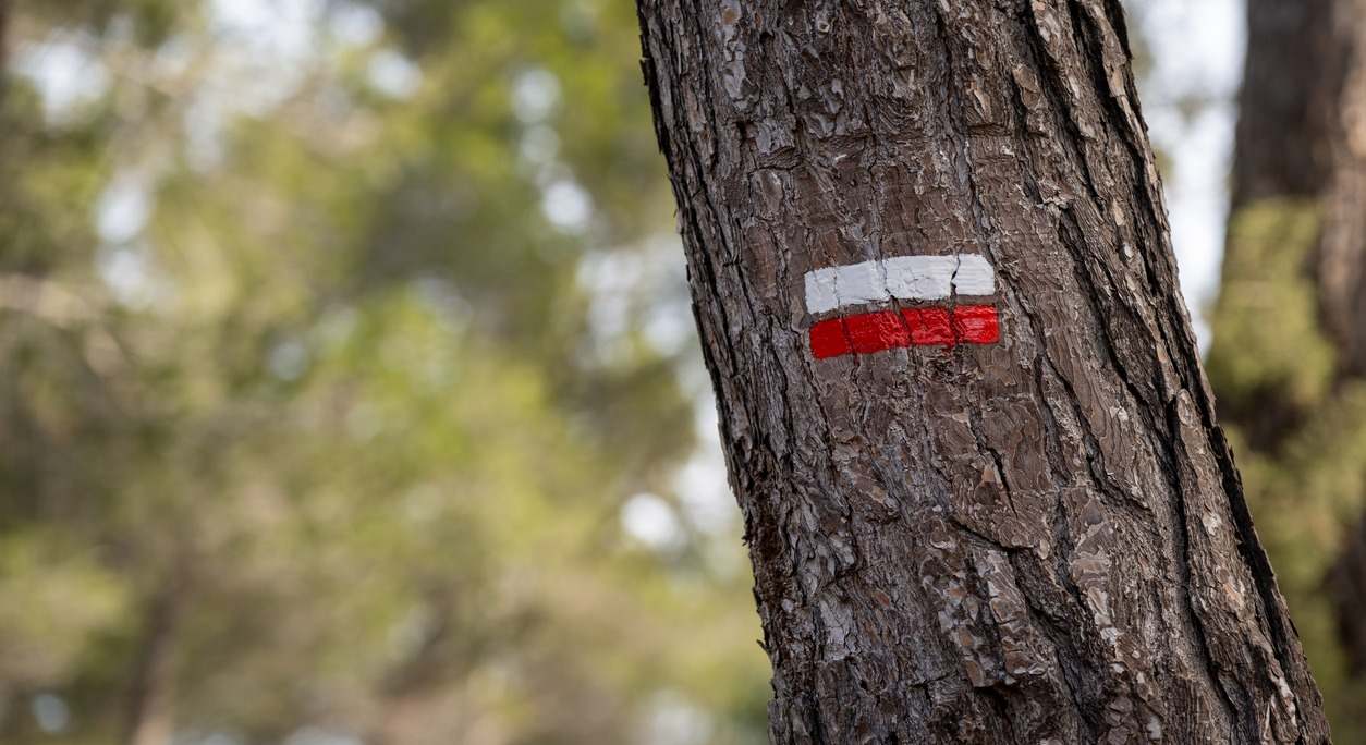 Señalización GR rojo y blanco en sendero de montaña