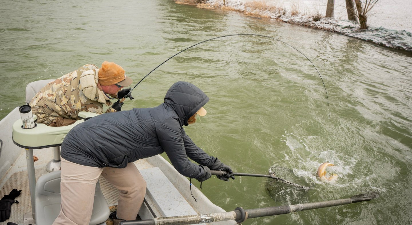 Streamer Fishing on the South Holston and Watauga Rivers