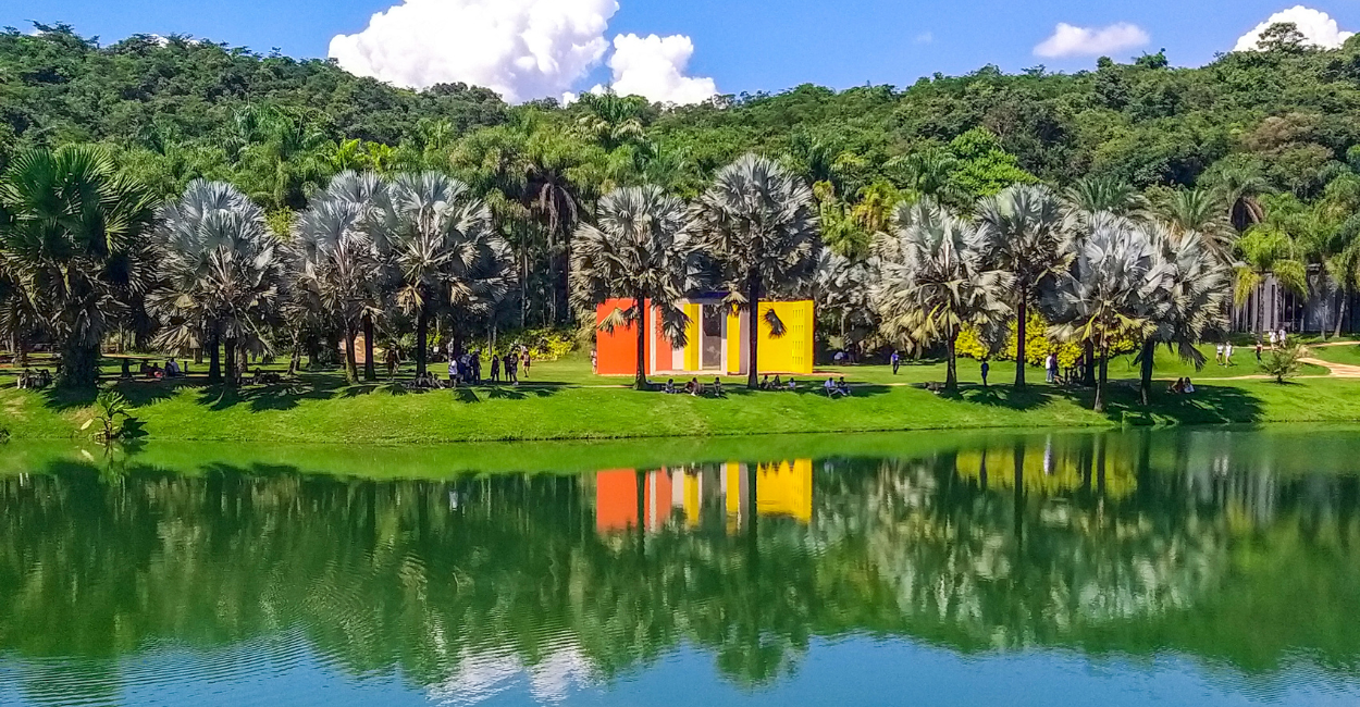Museu Inhotim Brumadinho, com Árvores e Uma Lagoa com Água de Cor Verde, Com Uma Exposição de Arte