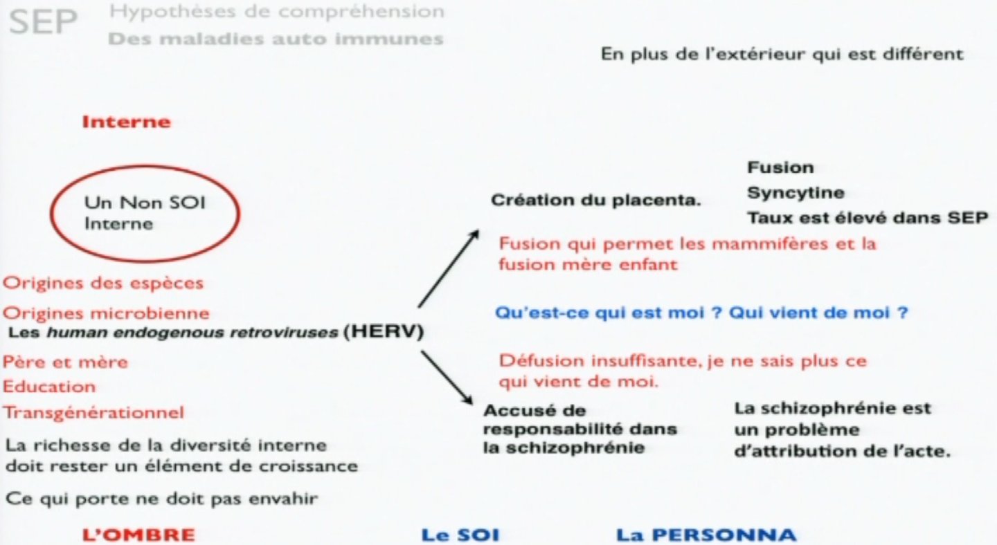 défusion insuffisante SEP