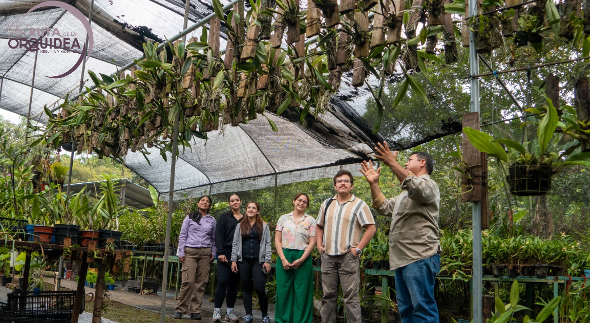 explicacion de las orquideas en la ruta de la prquidea coatepec