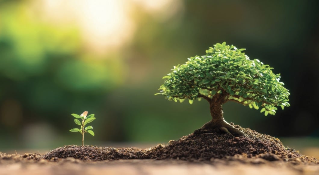 hypnose hypnothérapeute Saint Mandé Vincennes Montreuil michel Bizot Dausmenil soin