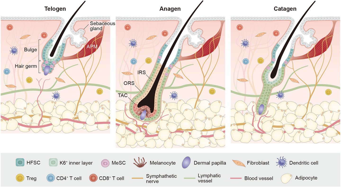 hair fall management by aston sequoia