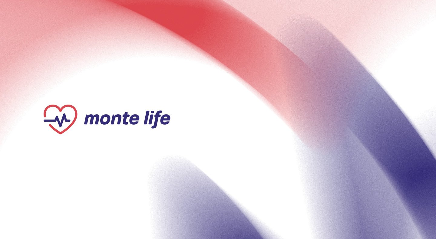 monte life corretora de seguros