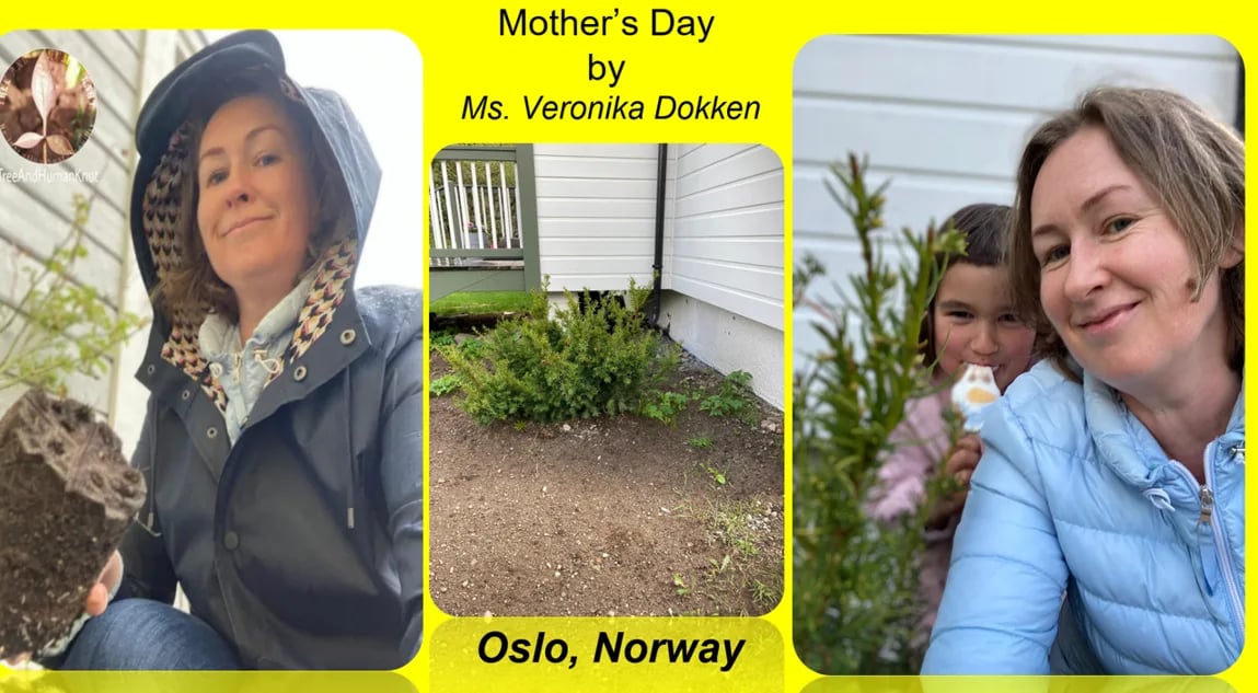 Veronika familie deltar i skogplanting i Finnmark TAHK Norway Hvordan Oslos O2-Parker Kjøler Byen