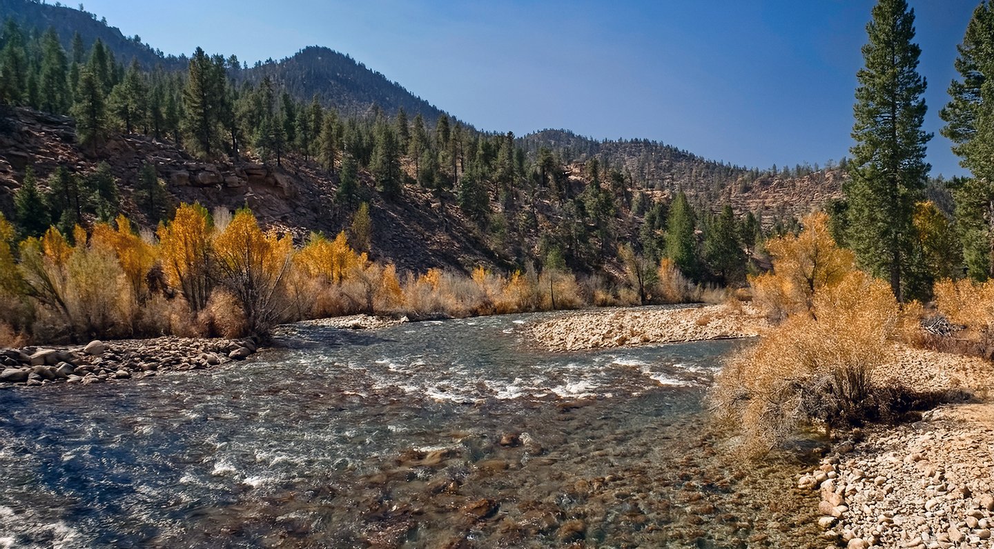 Walker River located in the Walker River Basin in Nevada