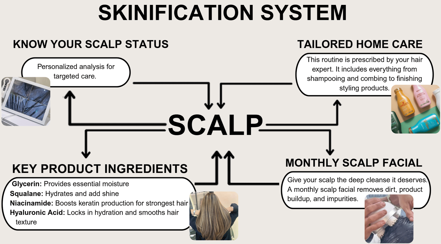 SKINIFICATION SYSTEM