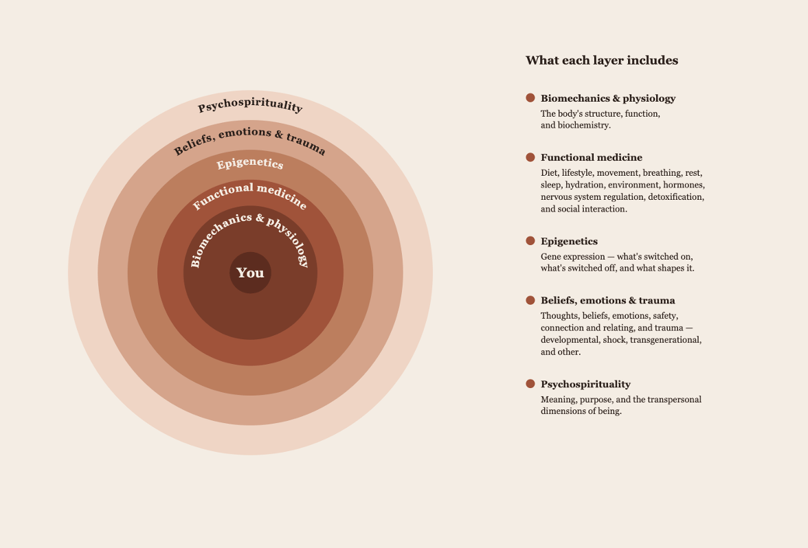 Integrative medicine wheel by Joanna Bauer-Savage — five layers of whole-person healing.