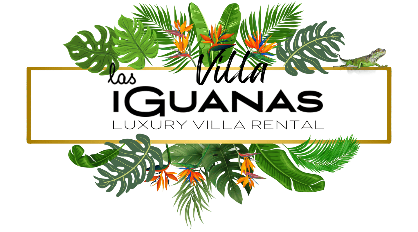 floral banner displaying brand name villa las iguanas